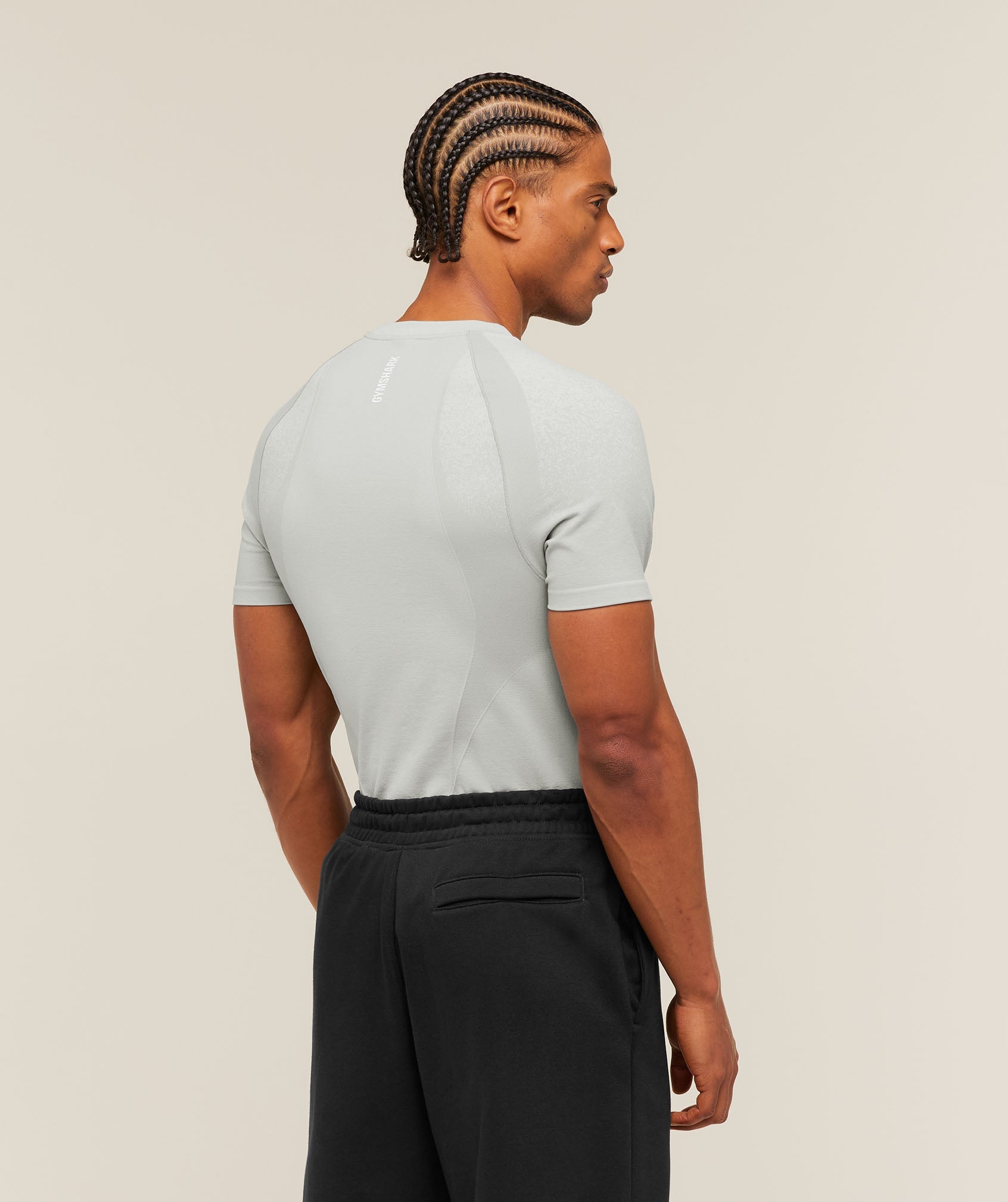 Gymshark Shadow Seamless T Shirt 'Light Grey'