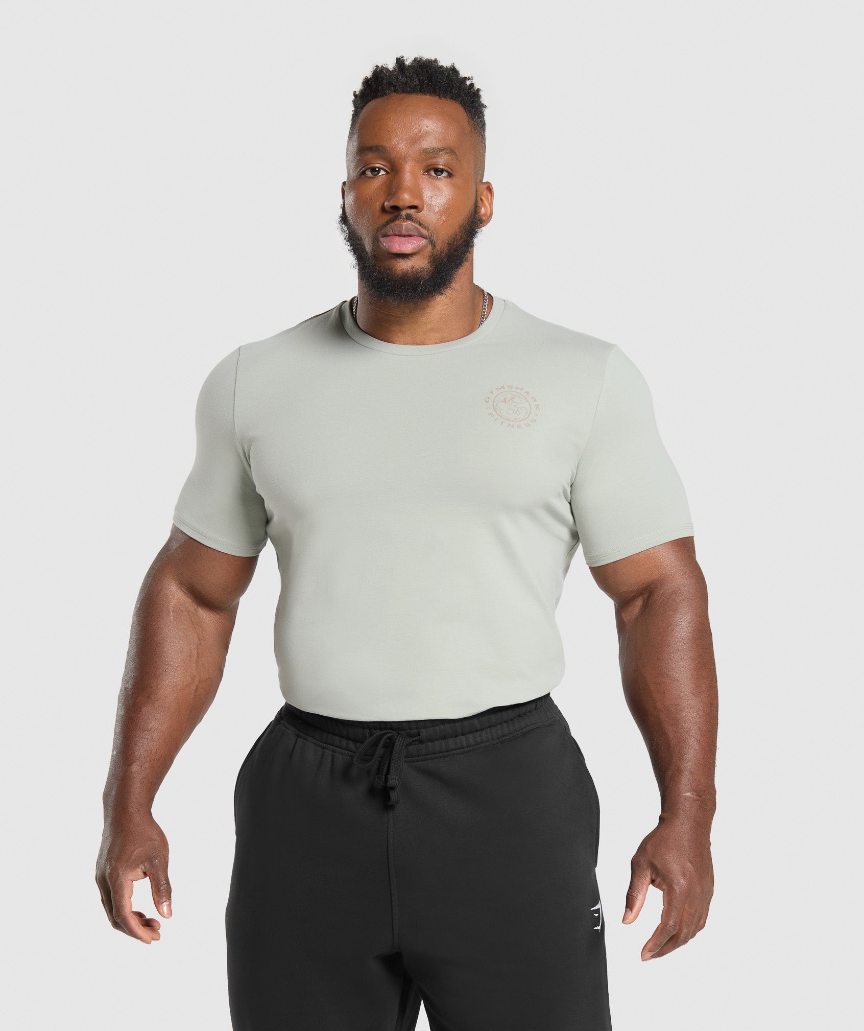 Gymshark Legacy T-Shirt 'Stone Grey'