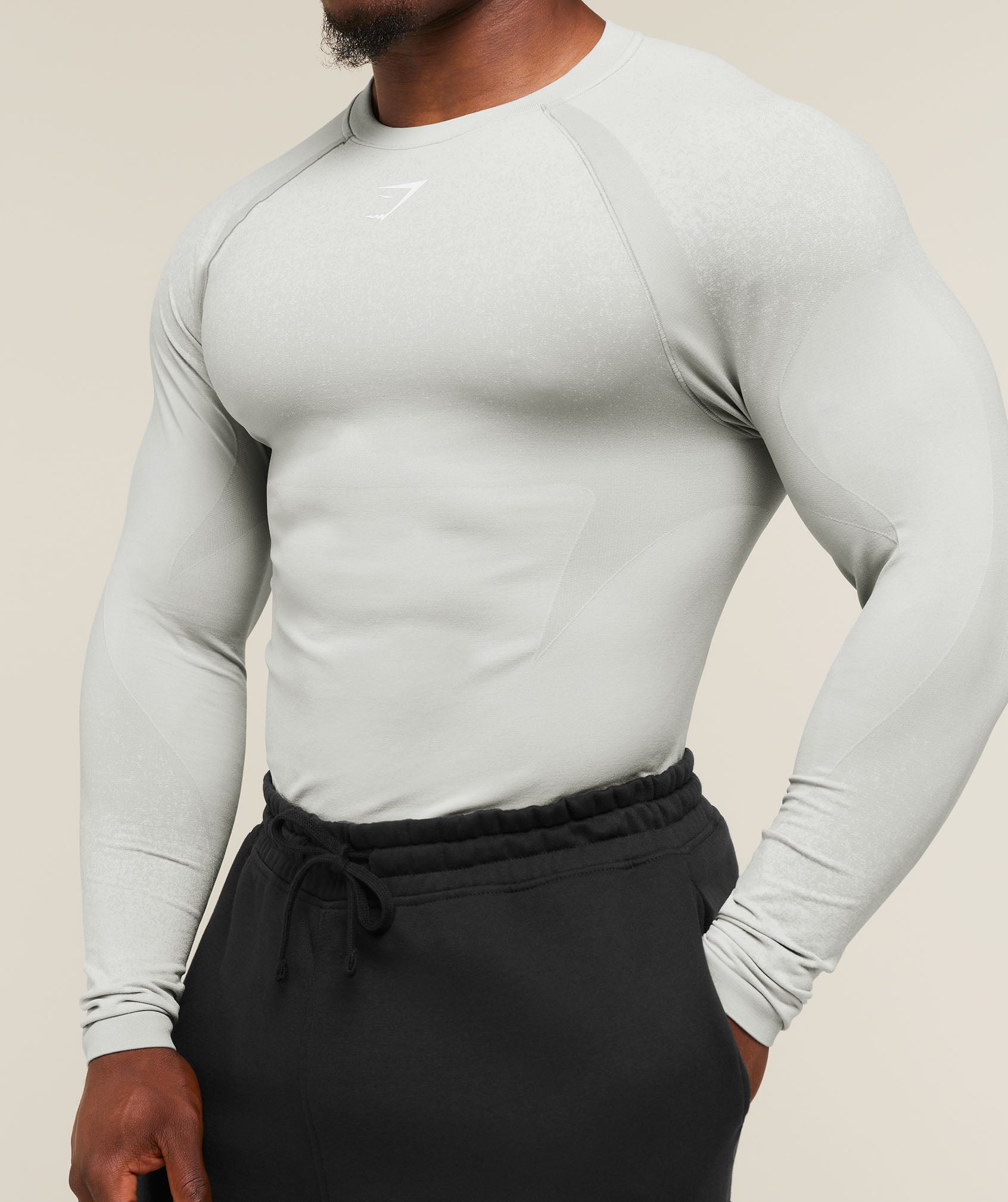 Gymshark Shadow Seamless Long Sleeve T-Shirt 'Light Grey'