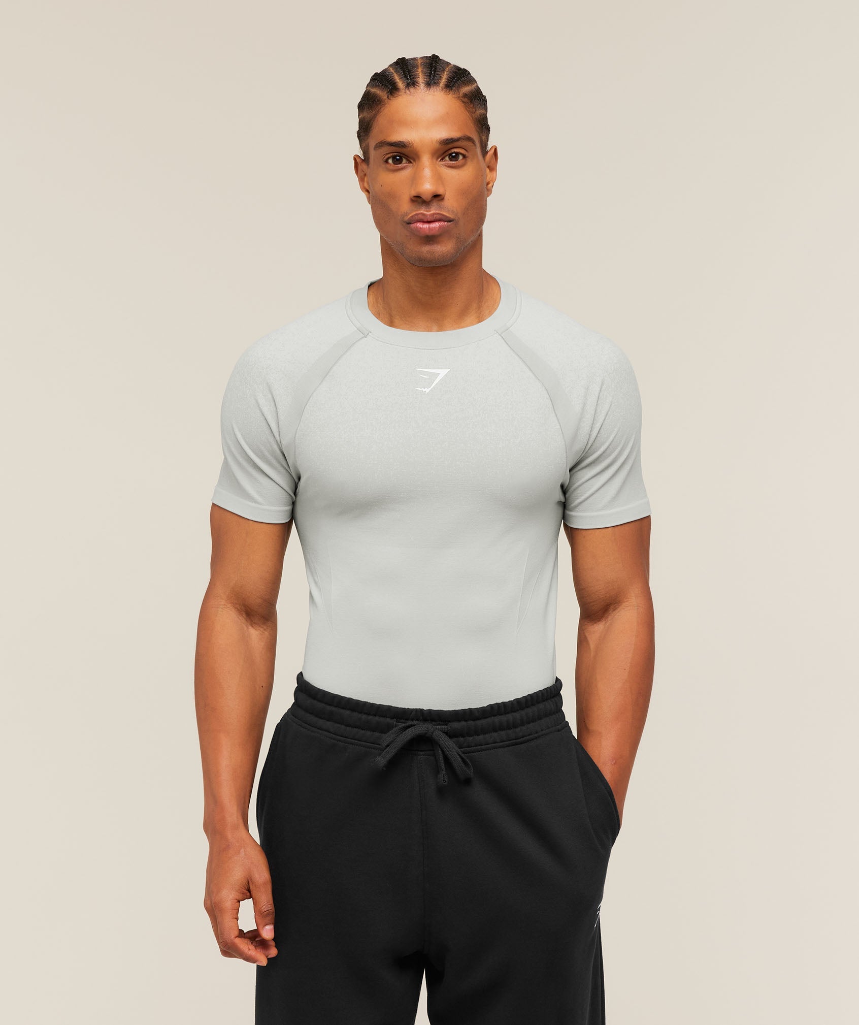 Gymshark Shadow Seamless T Shirt 'Light Grey'